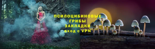 героин Козловка